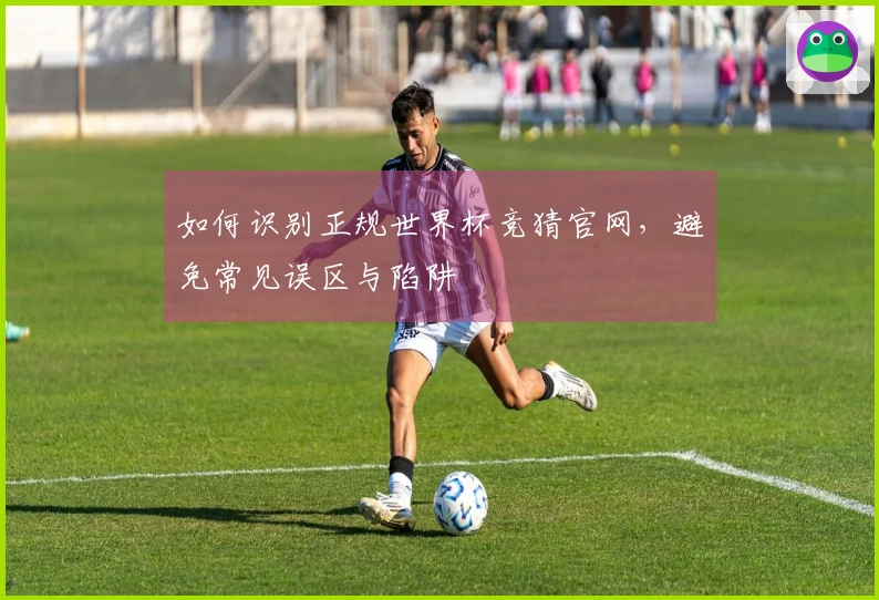 如何识别正规世界杯竞猜官网,避免常见误区与陷阱